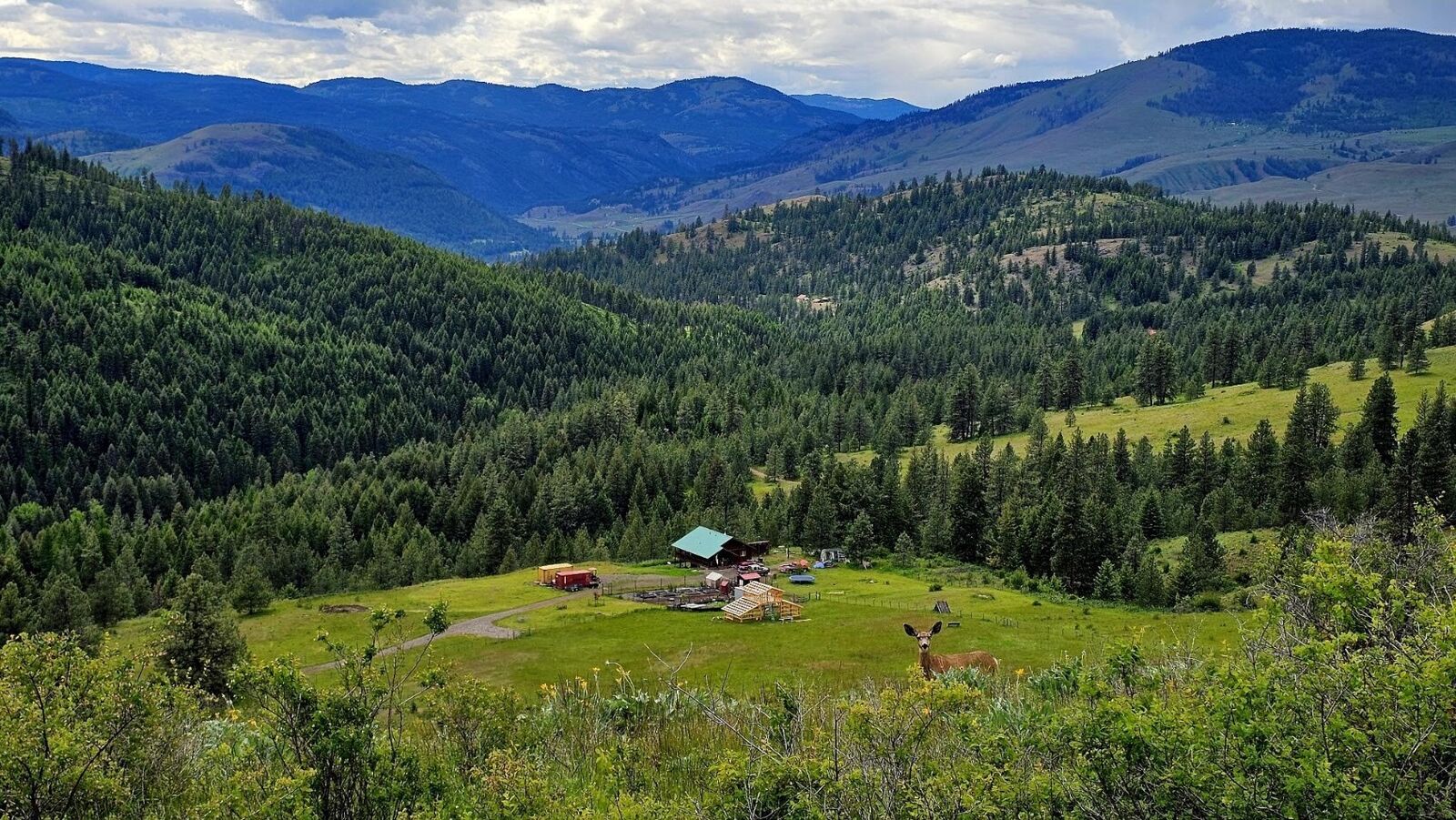 Property Photo:  57  Two Sisters Way  WA 99118 