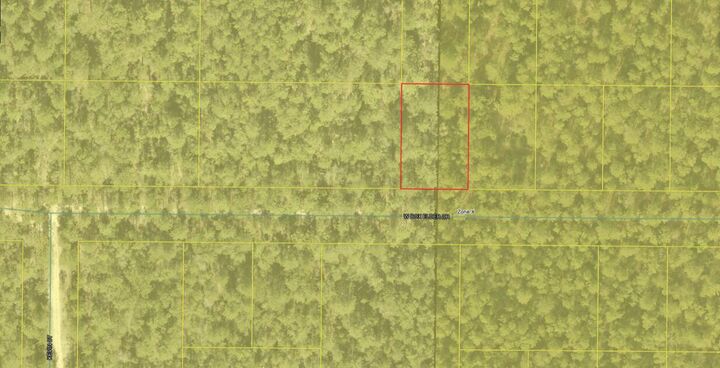 Property Photo: .26 Acre Lot 54 W. Box Elder Drive FL 32433