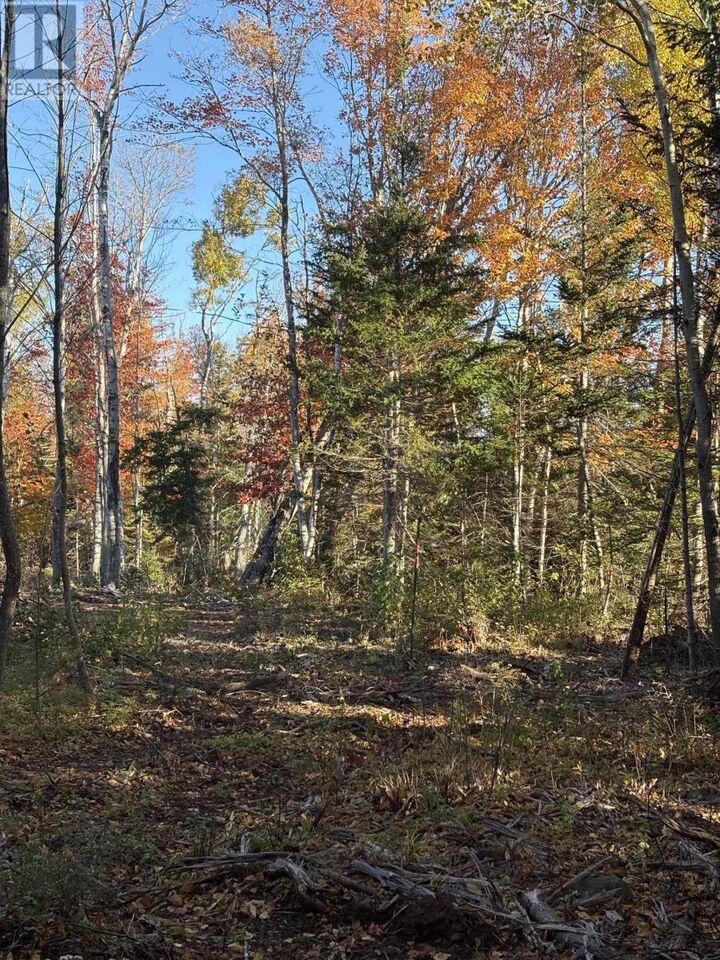 Property Photo:  Lot 2-25 Blue Sea Road  NS B0K 1E0 