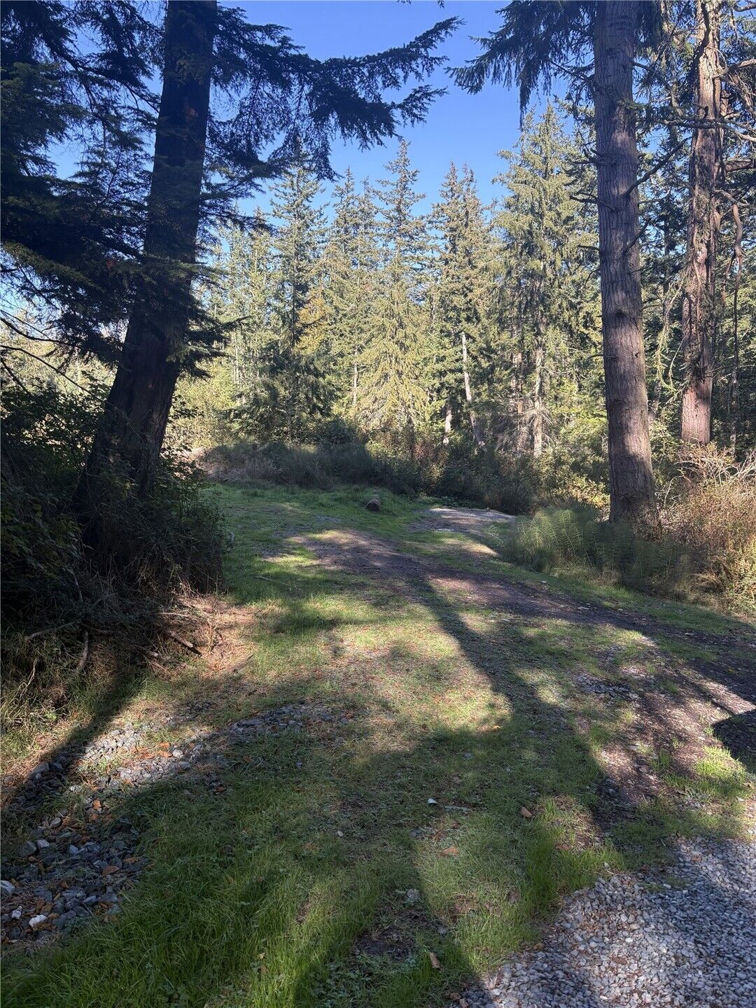 Property Photo: 473 Boyer Lane WA 98249