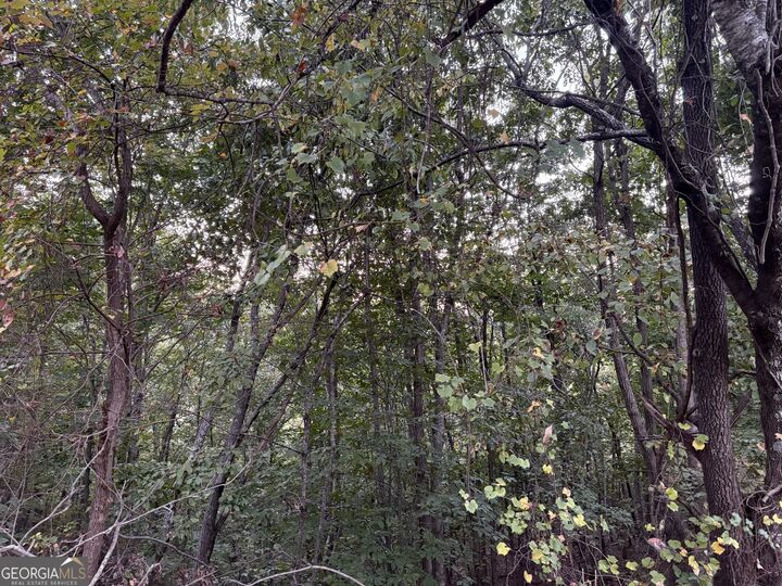 Property Photo: 0 Grandview Circle GA 30531