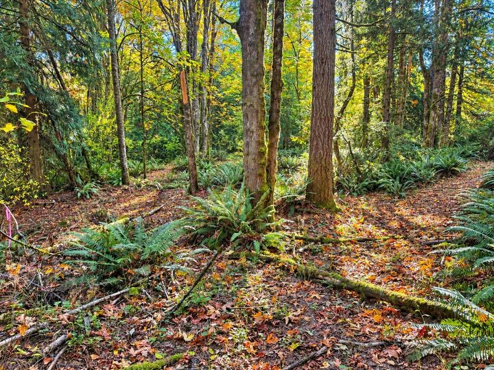 Property Photo: 0 Nevada Ave E WA 98366