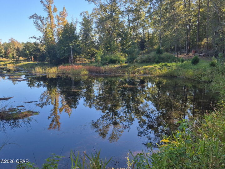 Property Photo:  2835 Dauphin Road  FL 32425 