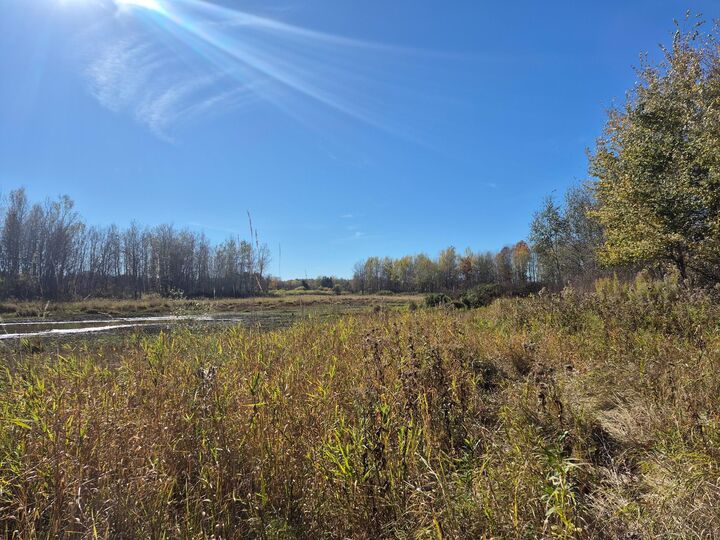 Property Photo: Tbd Henry Road MN 55735