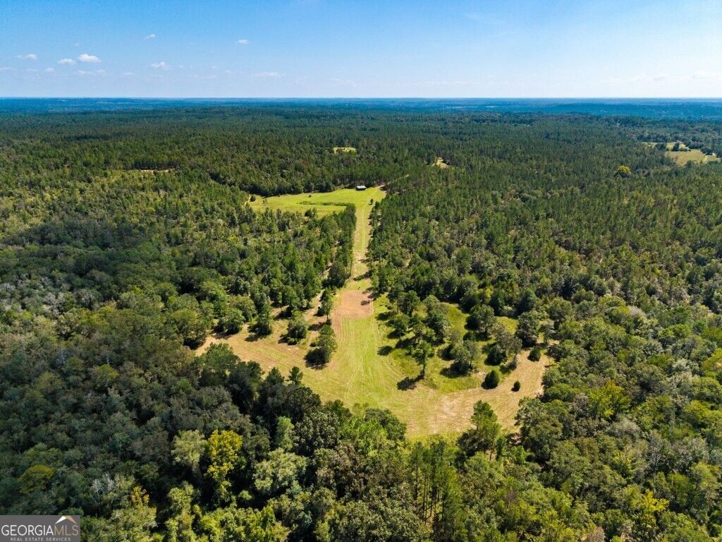 Property Photo: 257 Carpenter Road GA 31081