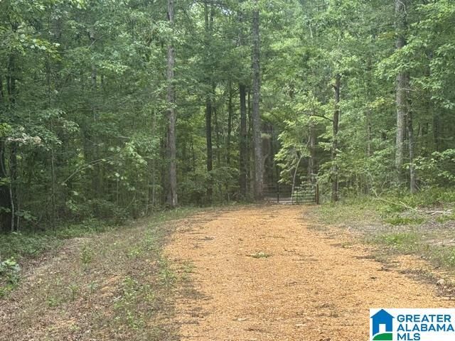 Property Photo:  245 Browns Valley Road 0  AL 35128 