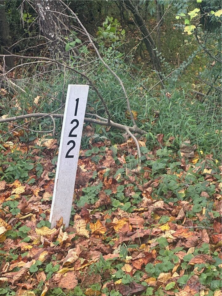 Property Photo: Lot 121 Friar Court NC 28659
