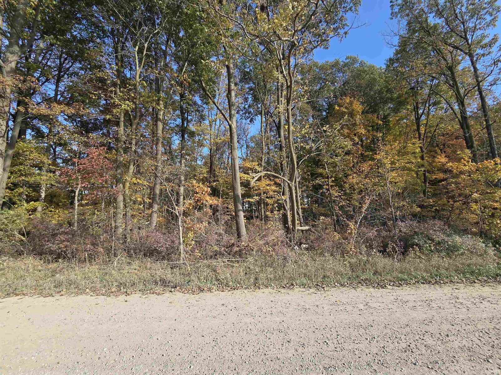 Property Photo:  0000 Lot 1 Cr 51 Road  IN 46721 