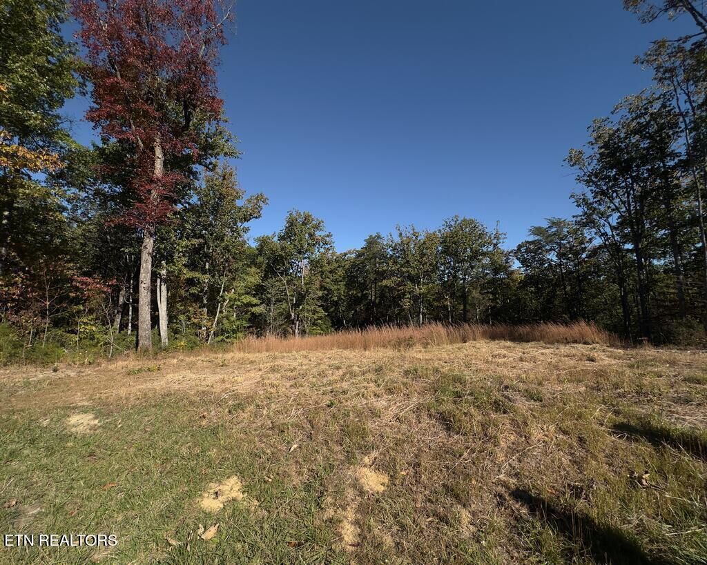 Property Photo: 117 Fox Run Court TN 38574