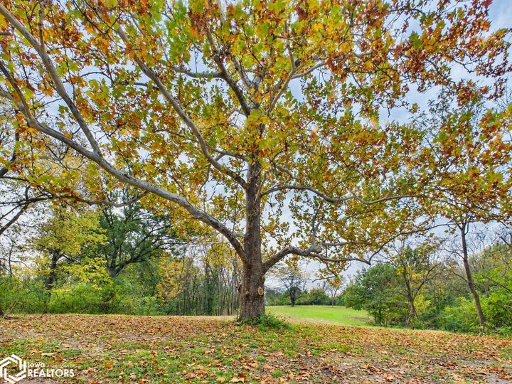 Property Photo:  11581 Dahlonega Road  IA 52501 