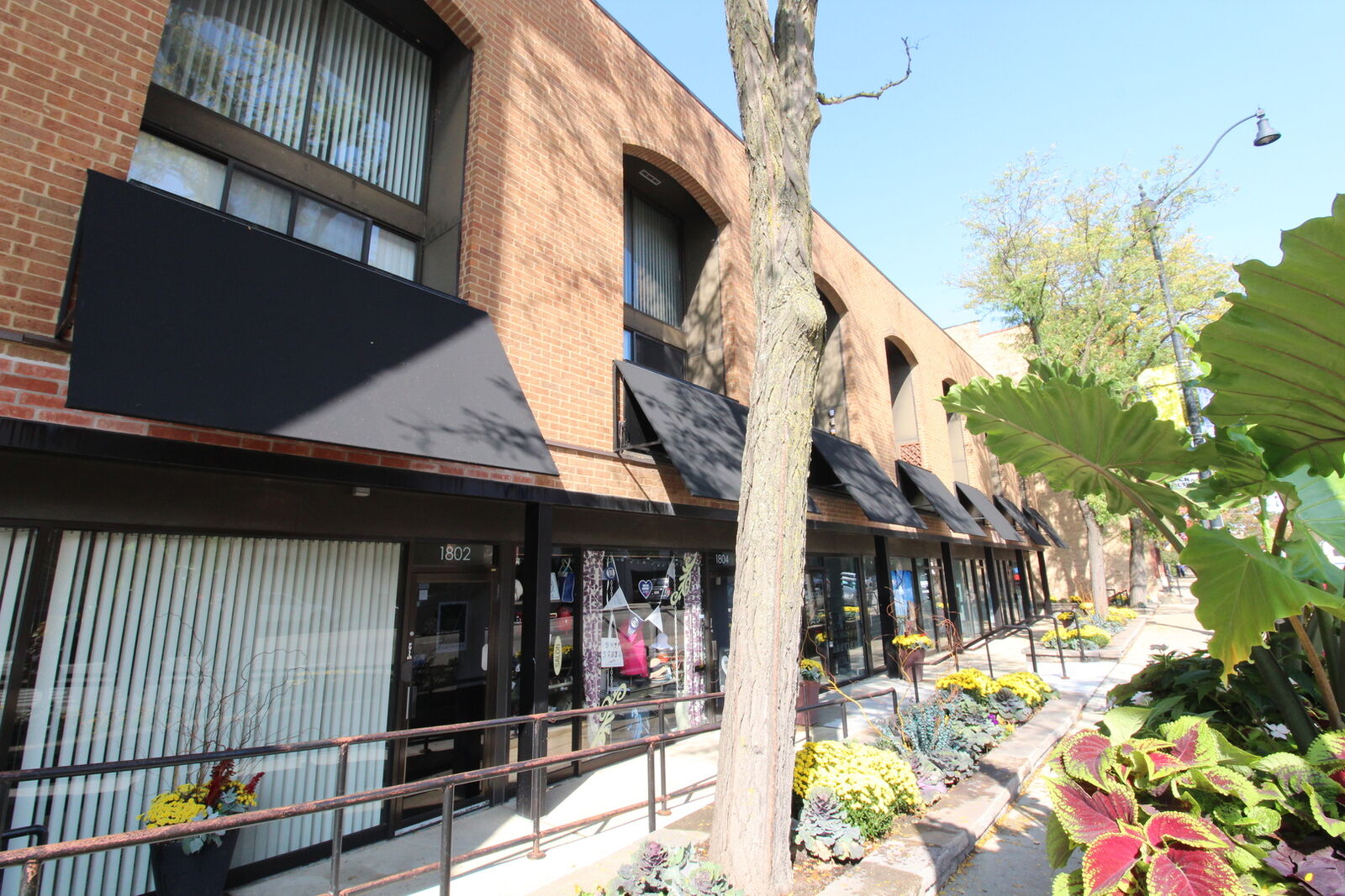 Property Photo:  1802 N Halsted Street D  IL 60614 