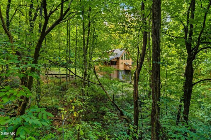 Property Photo: 3163 Sourwood Way TN 37862