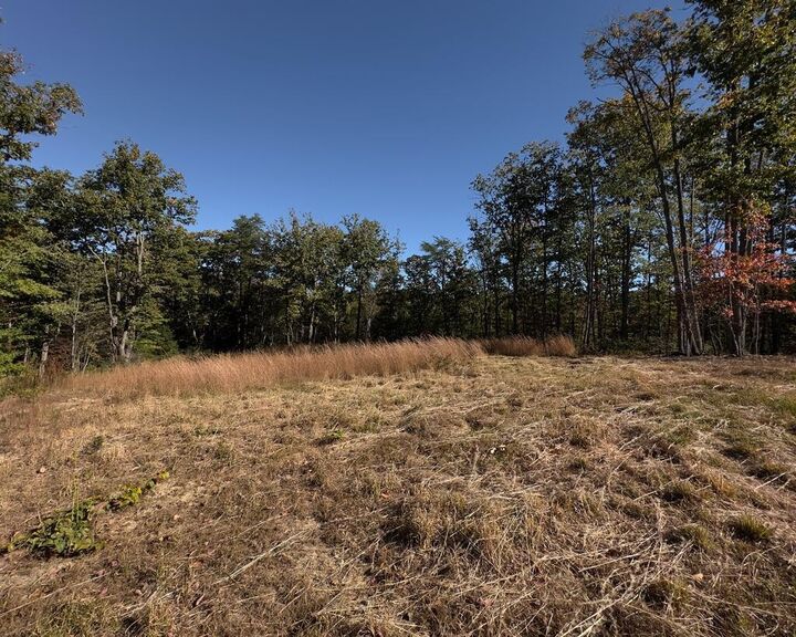 Property Photo:  117 Fox Run Ct  TN 38574 