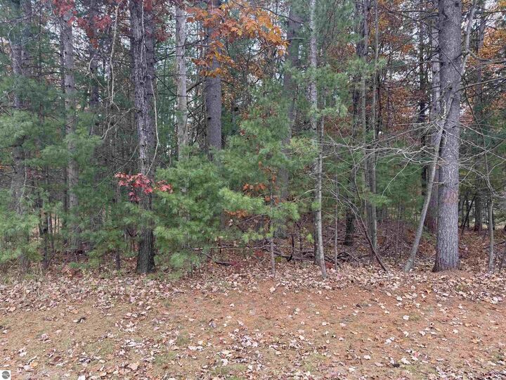 Property Photo: Hammond MI 49709