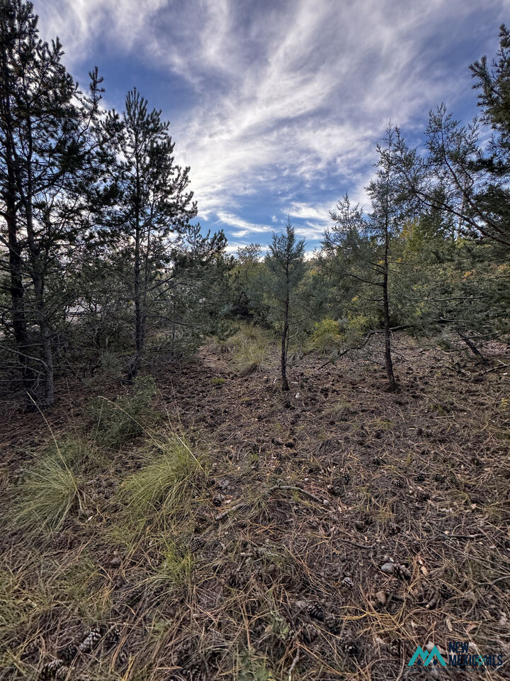 Property Photo:  37 Huff Ave  NM 88350 