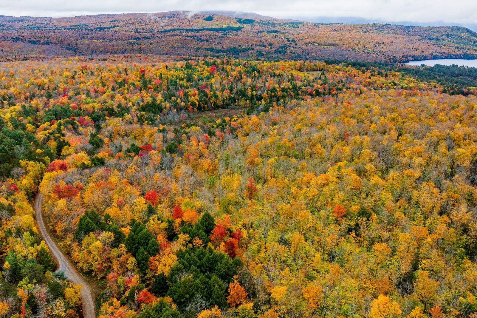 Property Photo:  Lot 1 Bear Tree Road  NH 03777 