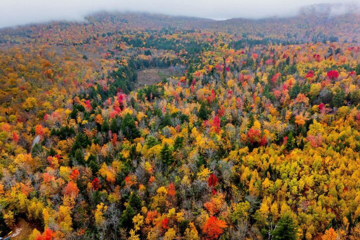 Property Photo:  Lot 64 Piermont Heights Road  NH 03777 