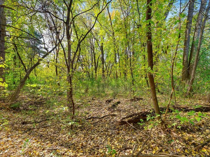 Property Photo:  Xxxx Reidmond Avenue  MN 55117 