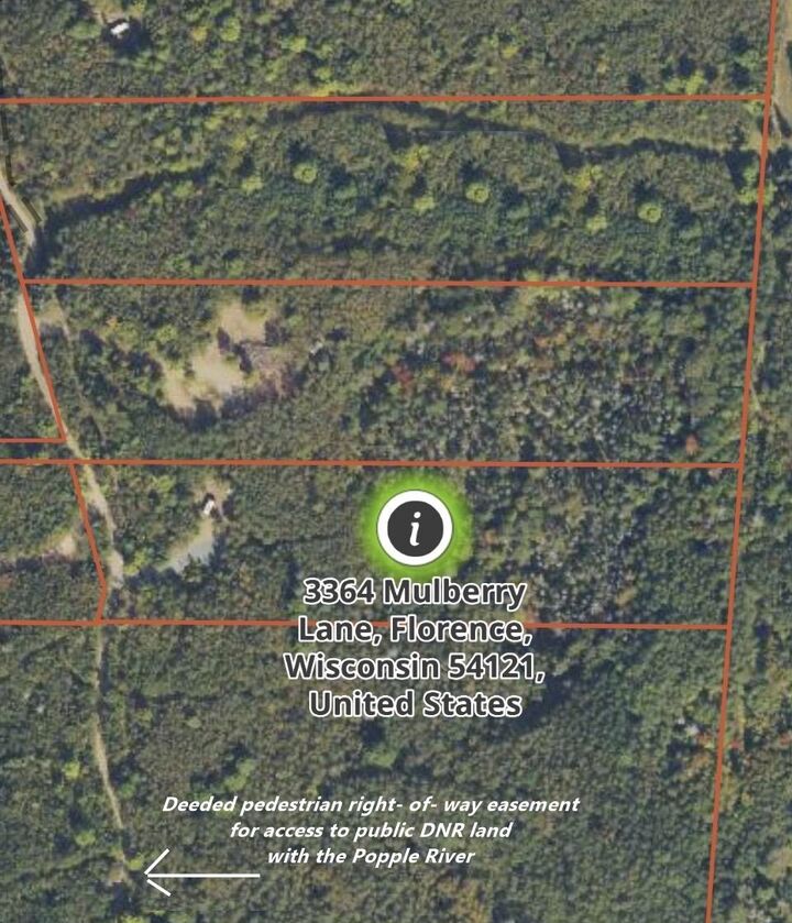 Property Photo: 3364 Mulberry Lane WI 54121