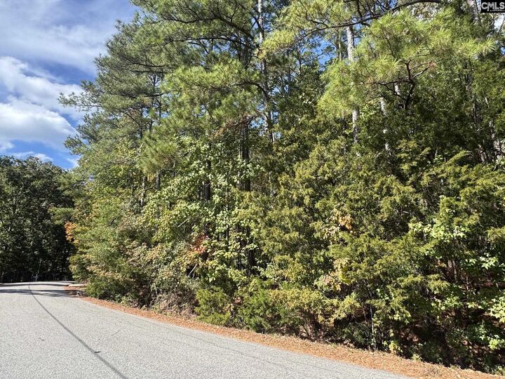 Property Photo: Lot 3 E. Selwood Lane SC 29212