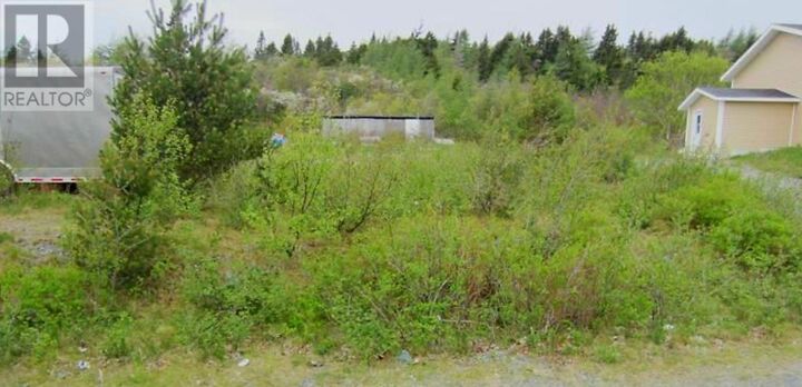 Property Photo:  11 Snows  NL A0A 1G0 