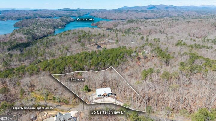 Property Photo:  56 Carters View Lane  GA 30540 