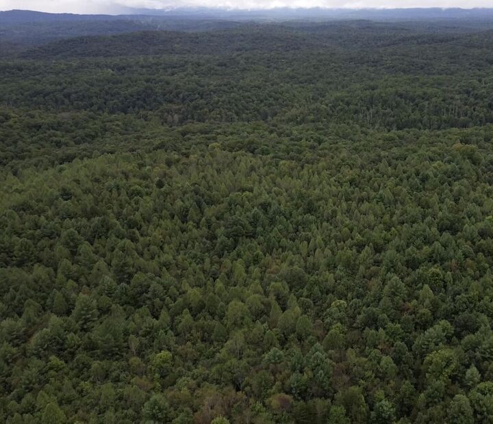Property Photo:  0 Mount Helen Road  TN 38556 