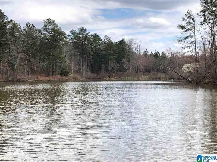 Property Photo:  12787 County Road 49  AL 36264 