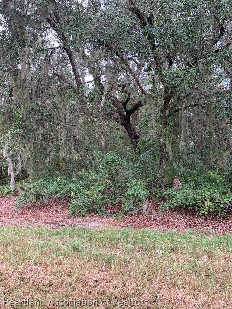 Property Photo:  454 Highlands Lake Drive  FL 33852 