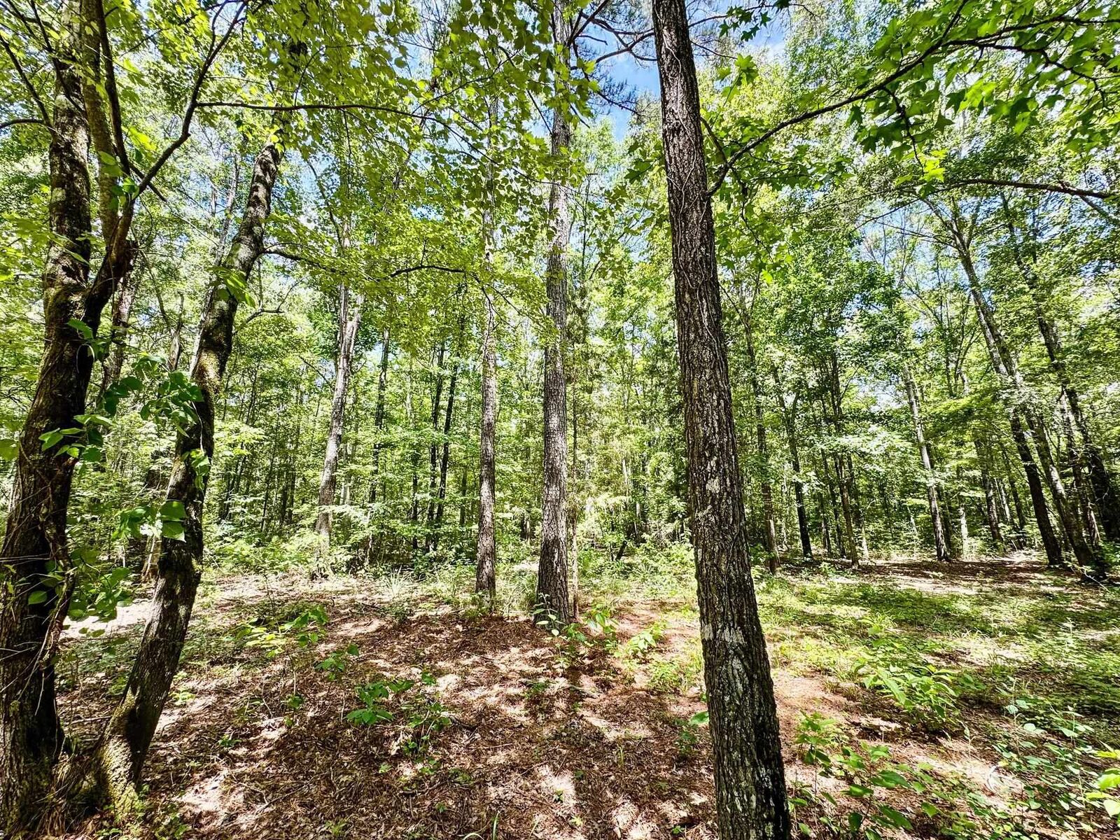 Property Photo:  0000 Cr 1131  TX 75563 