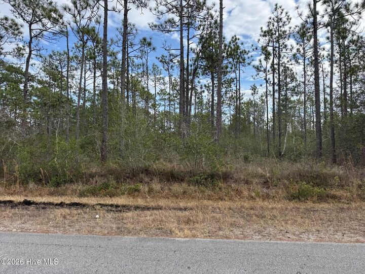 Property Photo: Lot 22 22 Pepperhill Road NC 28461