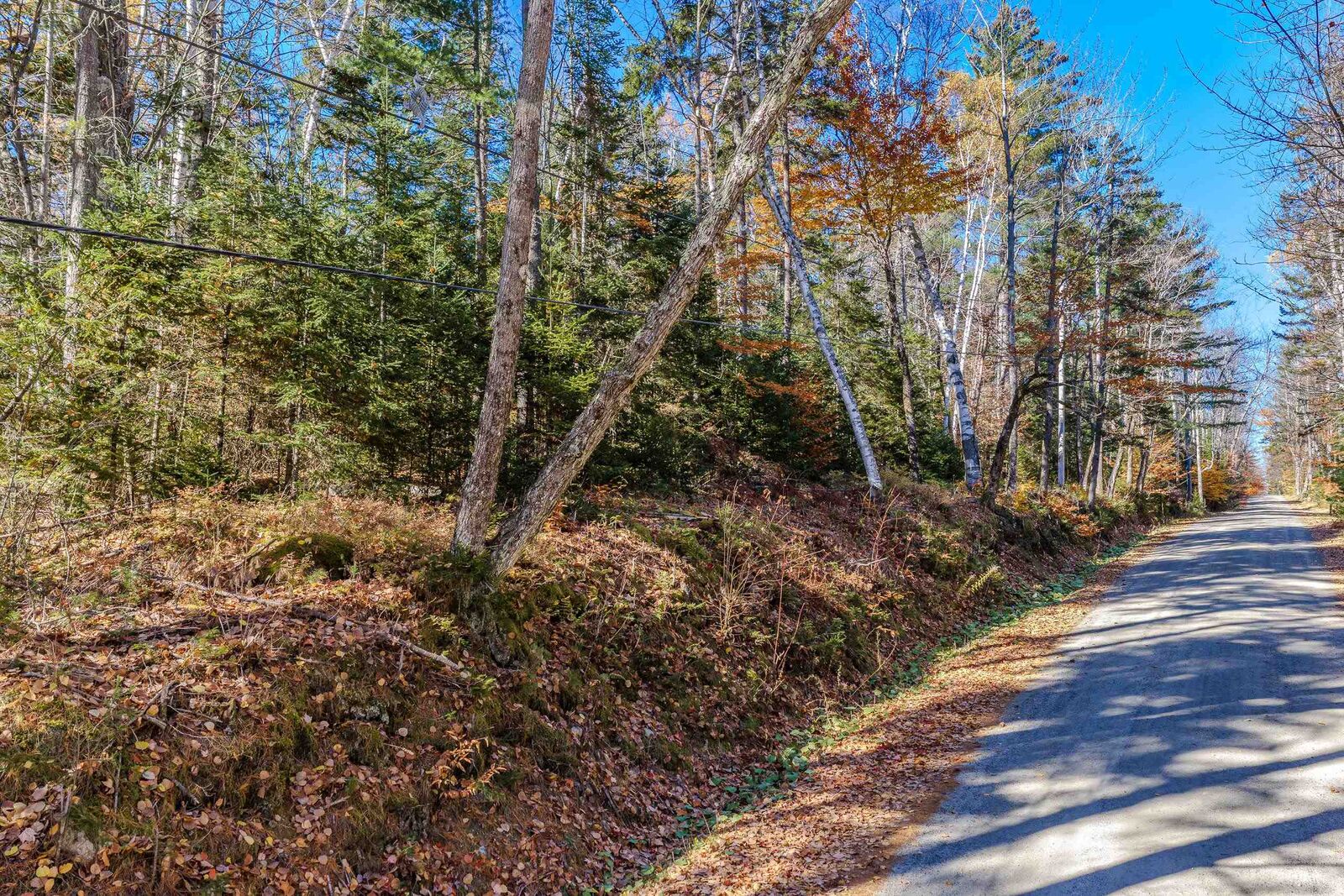 Property Photo:  Tbd.lot2 Swazey Lane  NH 03574 