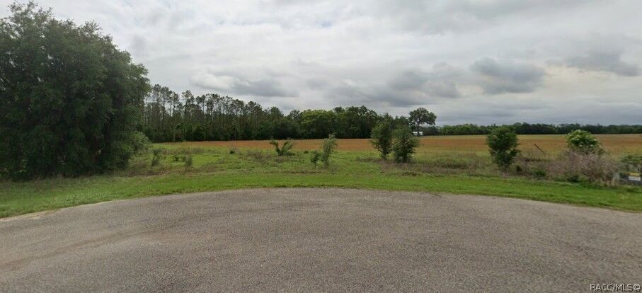Property Photo: 13830 Darby Park Lane FL 33525