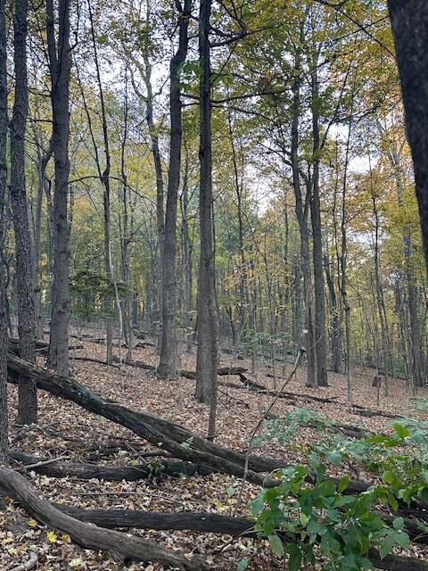 Property Photo: 0 England Hollow Road OH 45601