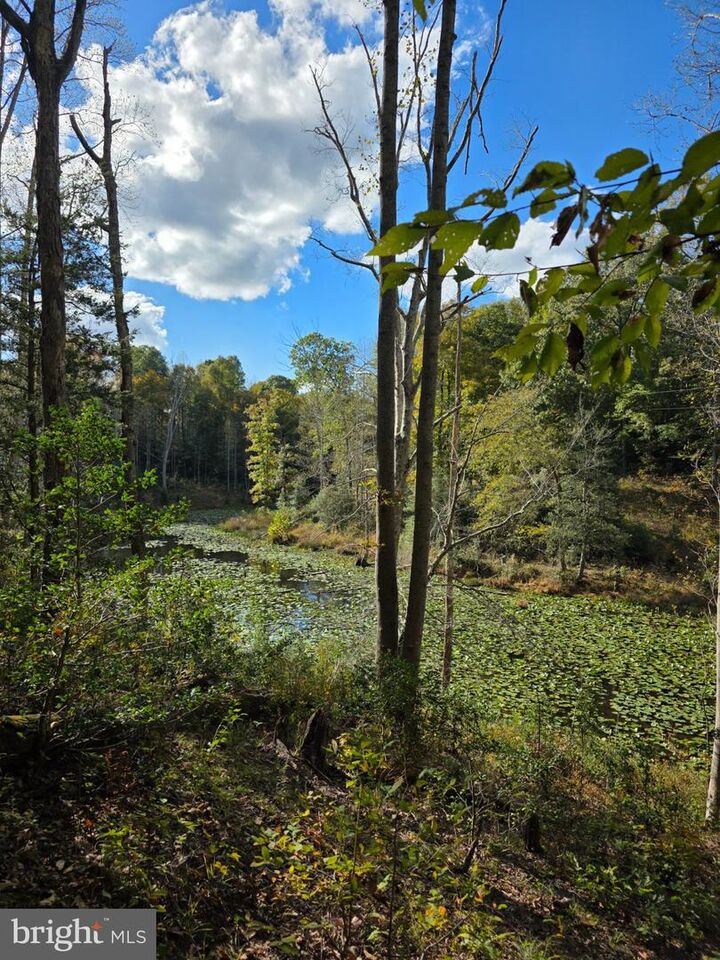 Property Photo:  Spindles Mill Pond Road  VA 22476 