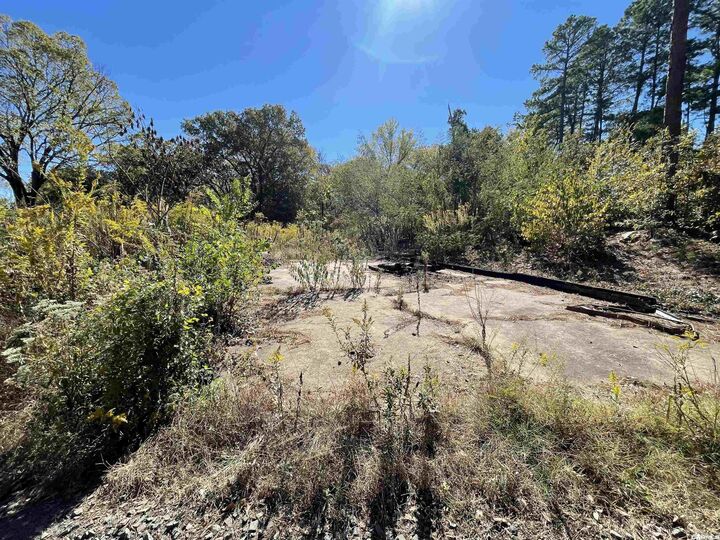 Property Photo: 114 Hillcrest Lane AR 71953