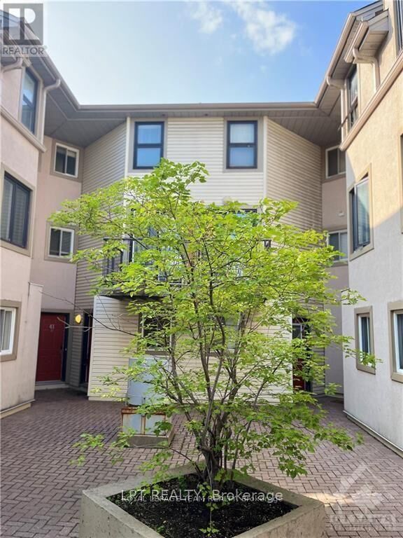 Property Photo:  41 Anderson Street E  ON K1R 6T6 