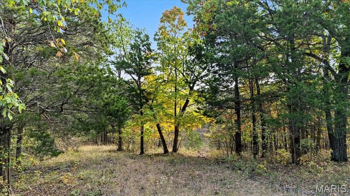 Property Photo:  664 Watts Ridge Drive  MO 63072 