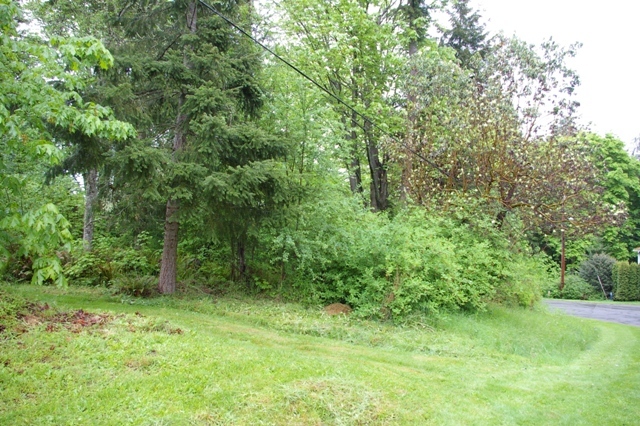 Property Photo: 0xxx Birch Lane WA 98282
