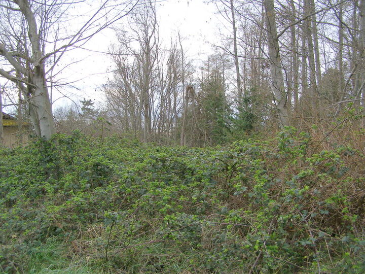 Property Photo: Exteriors 0 Nimitz Drive WA 98239