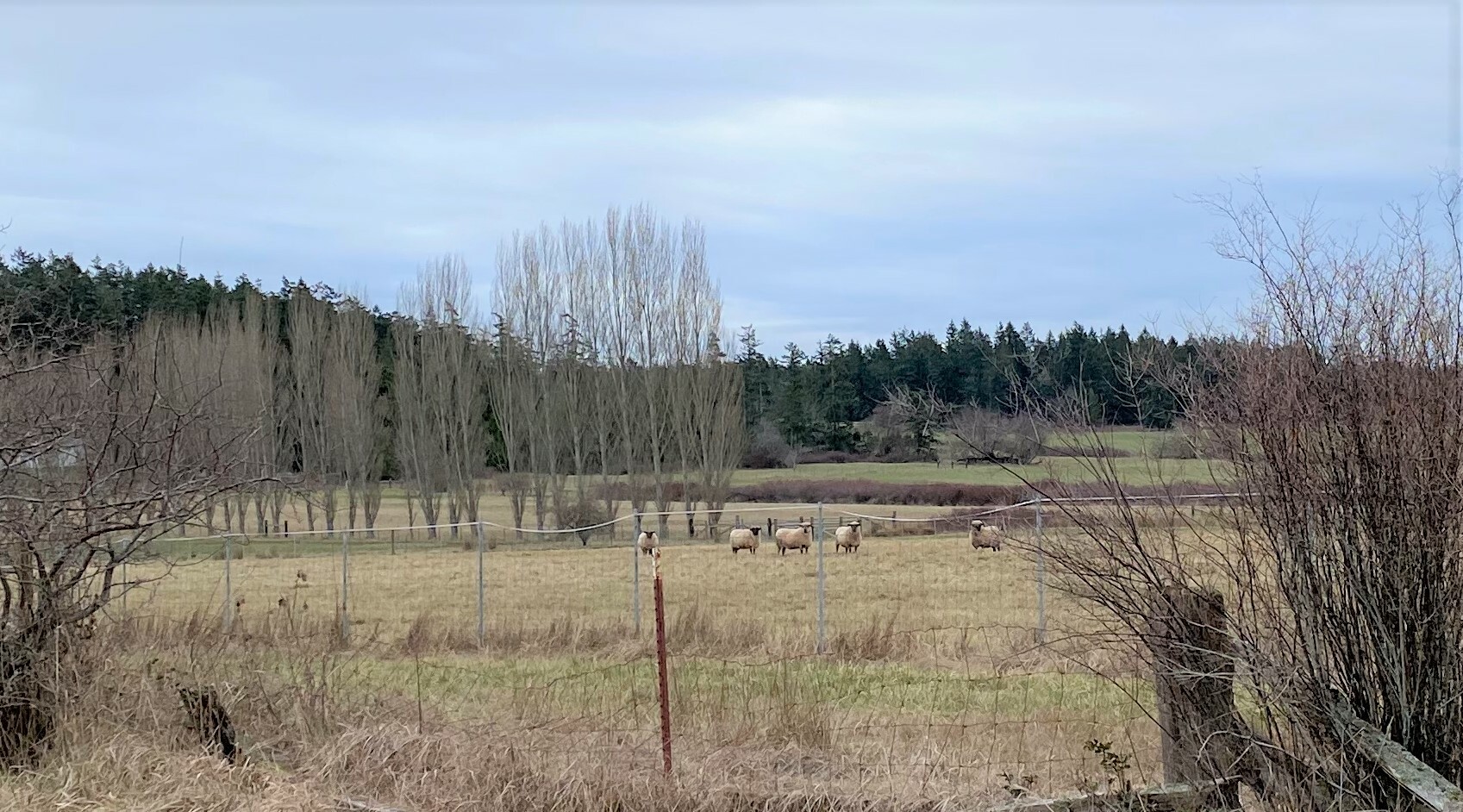 Property Photo:  0 Lopez Road  WA 98261 
