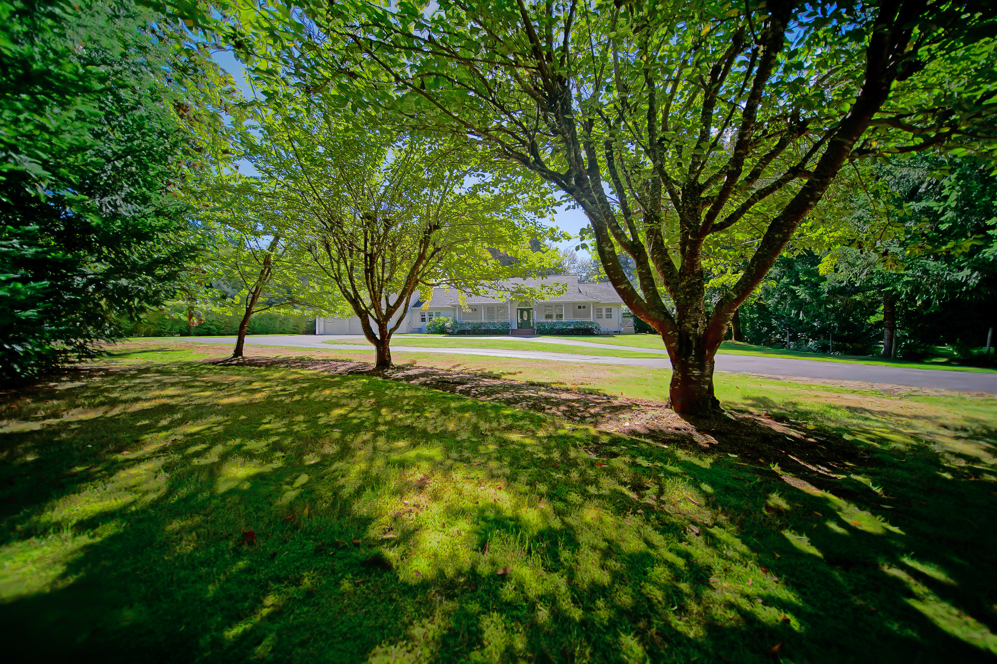 Property Photo:  700 Narnia Lane NW  WA 98502 