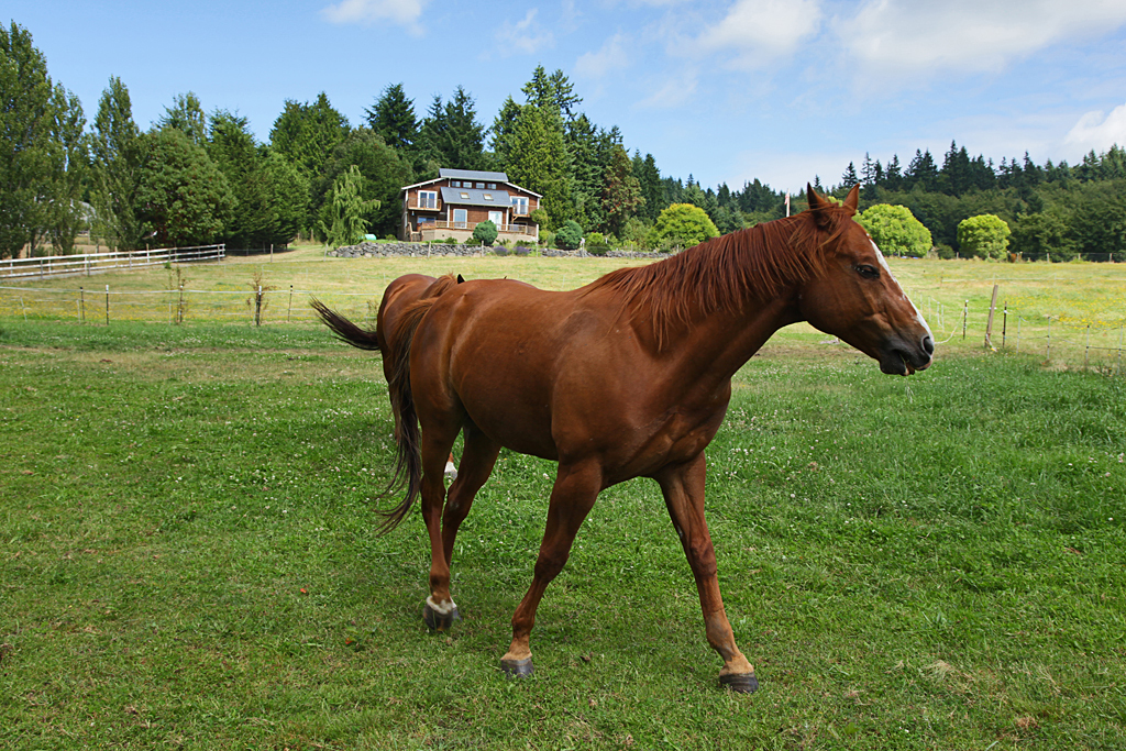 Property Photo: Bayview home 5537 Bayview Rd WA 98260