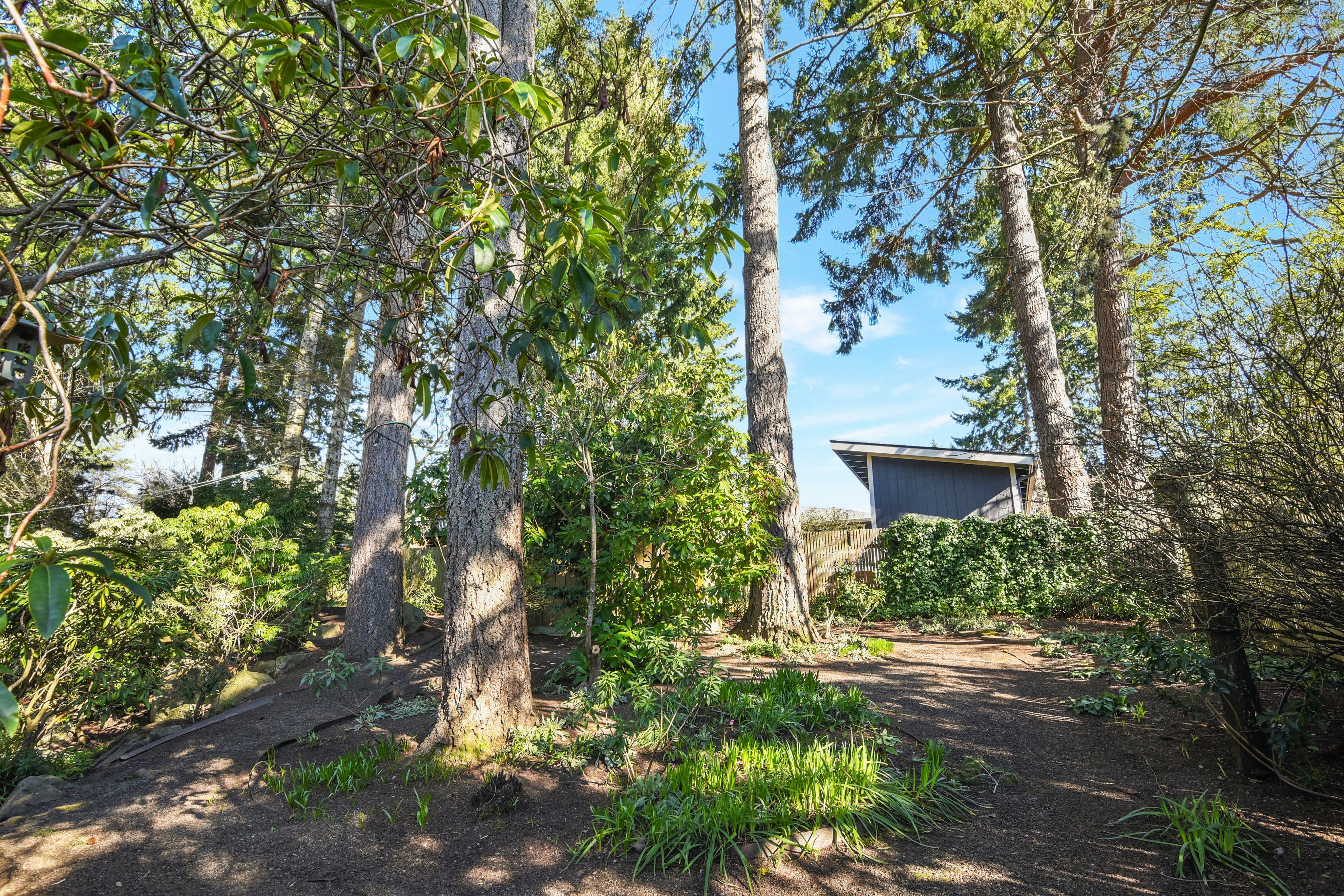 Property Photo:  1042 Lovell Avenue NW  WA 98110 