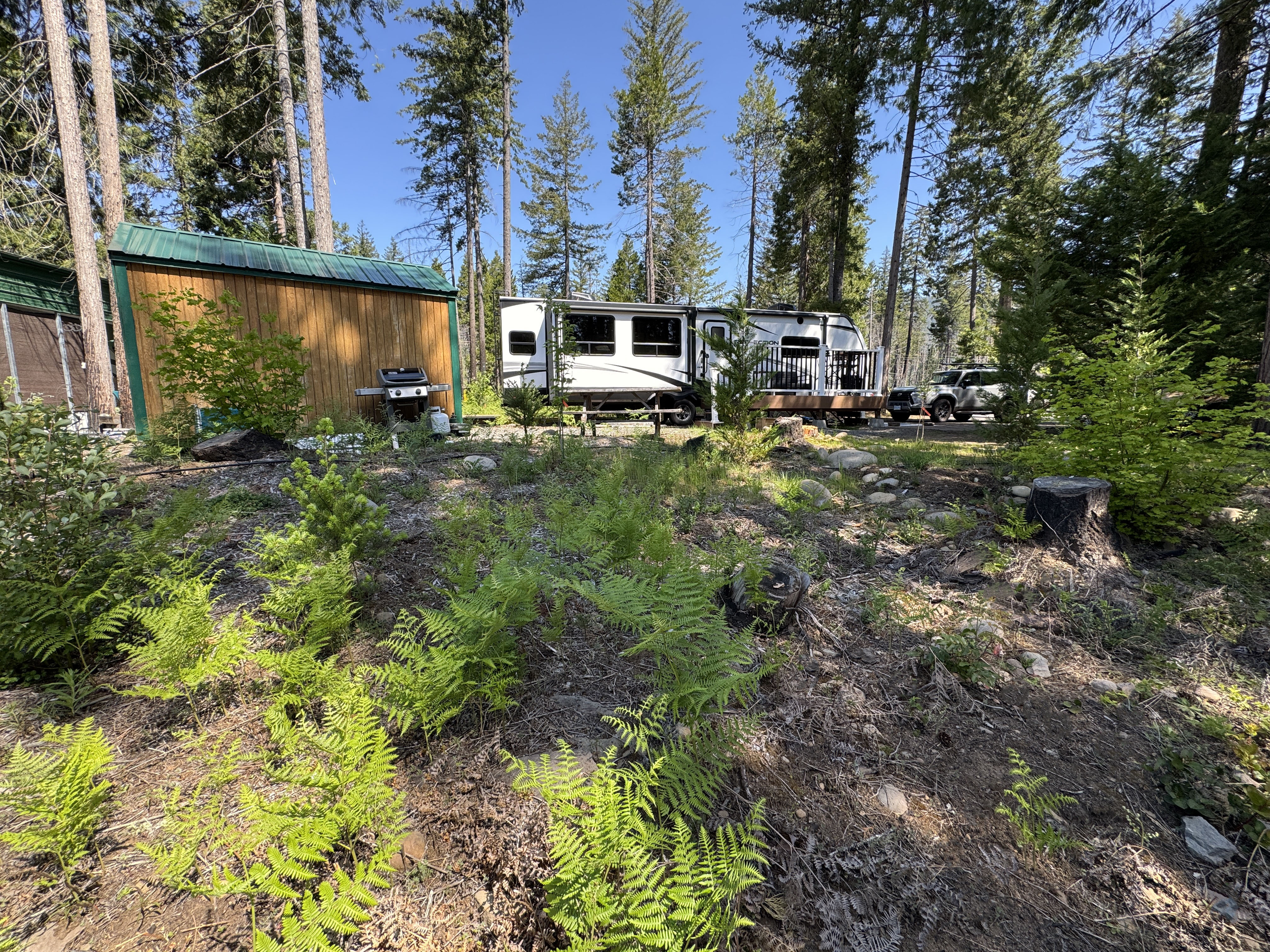 Property Photo: 54432 McKenzie Hwy 35 OR 97413