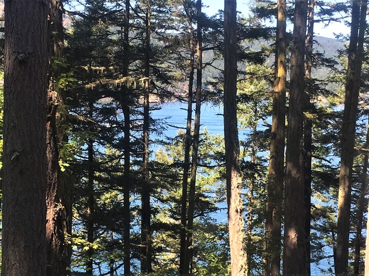 1956 Thatcher Pass Rd  Decatur Island WA 98221 photo