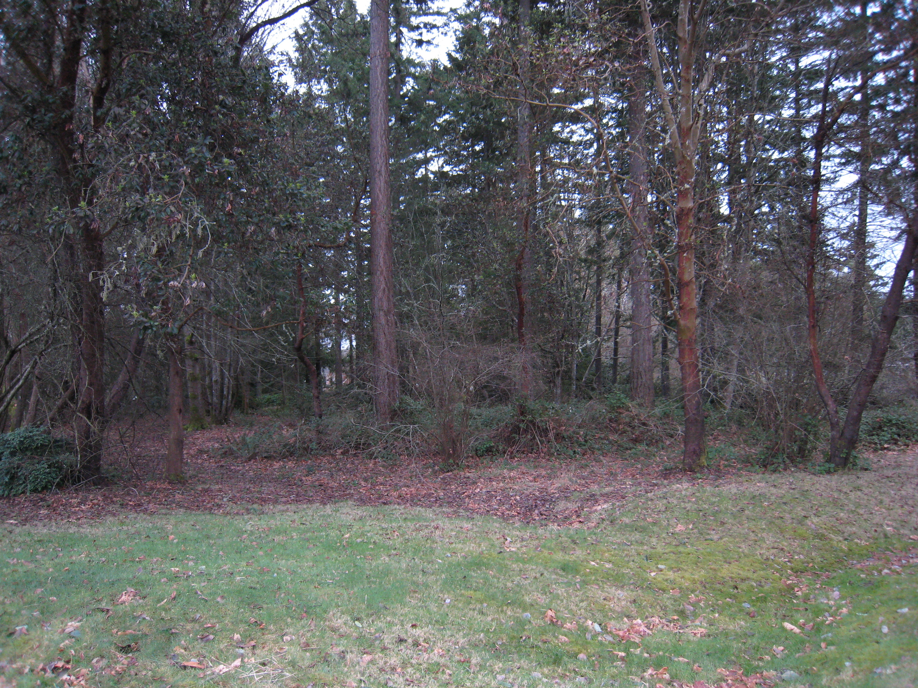 Property Photo: Tara lane 0lot 11 Tara Lane  WA 98110 