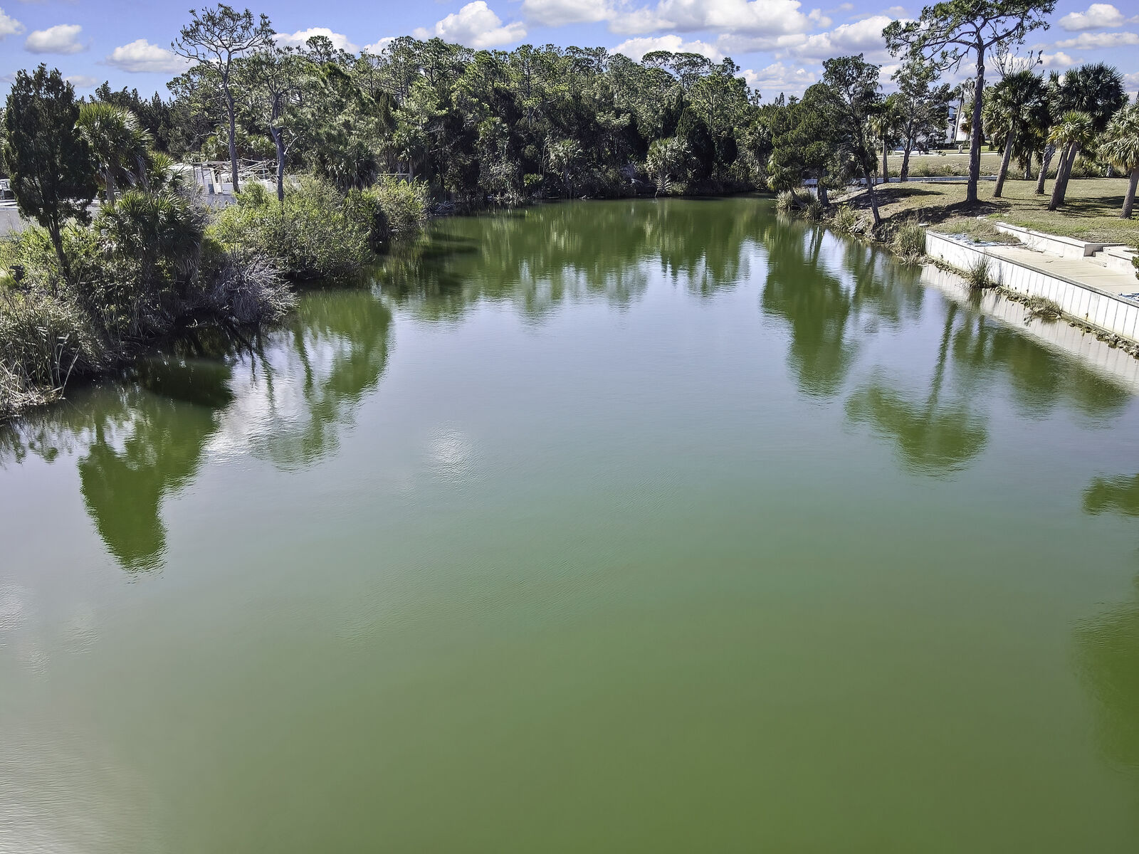 Property Photo: 3202 Rose Arbor Drive FL 34607