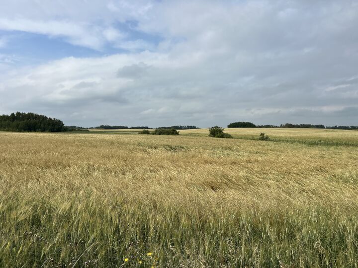 Property Photo:  East 1/2 Of SW 32-14-17  MB R0J 1E0 